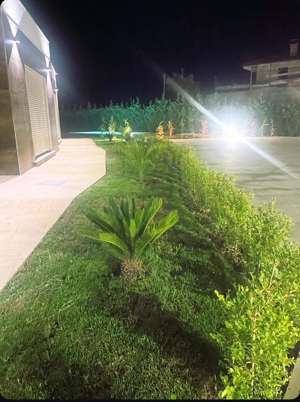 Night, Garden