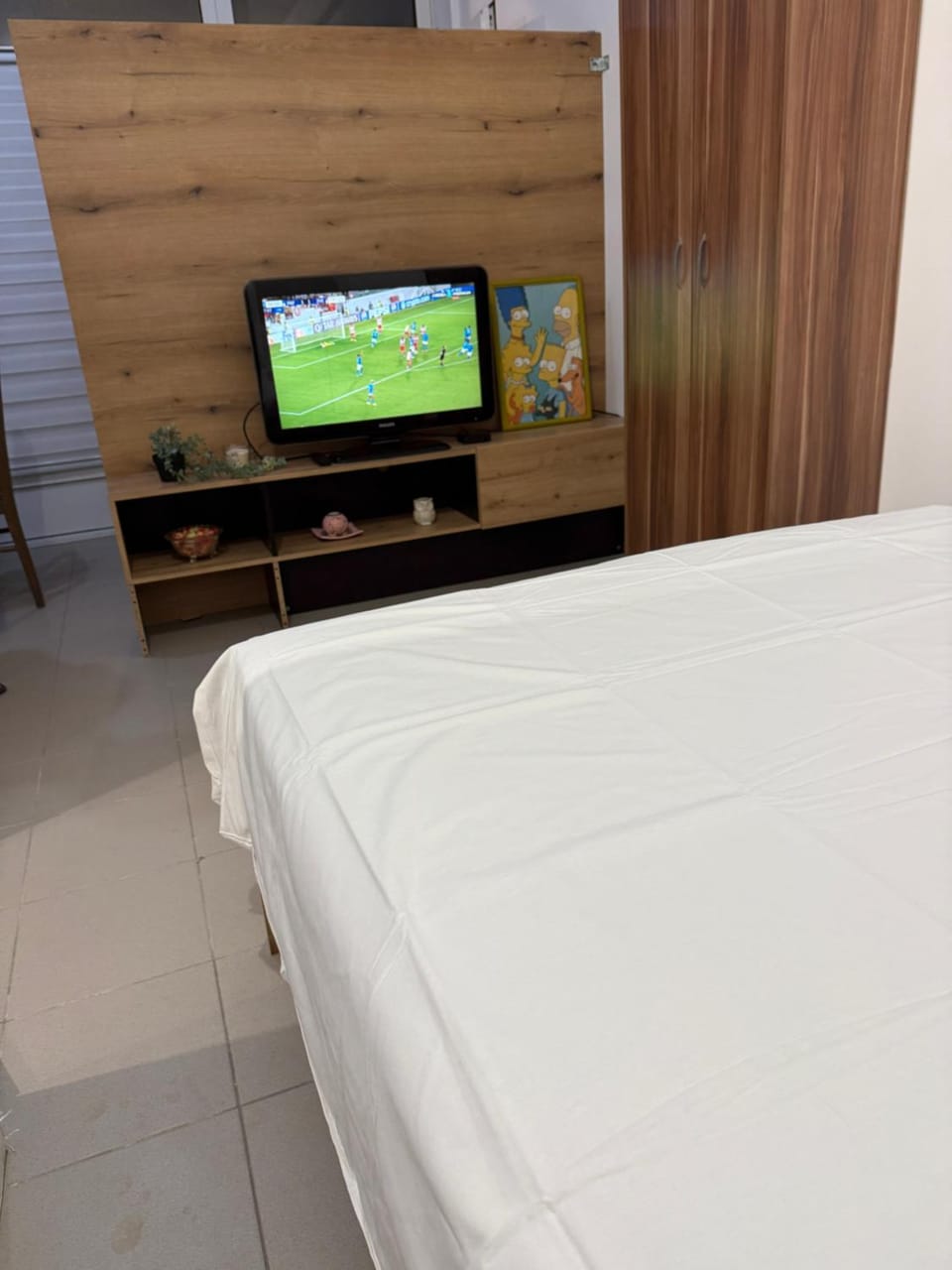 TV and multimedia
