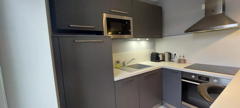 Cozy T3 apartment Apartment in Aix-les-Bains