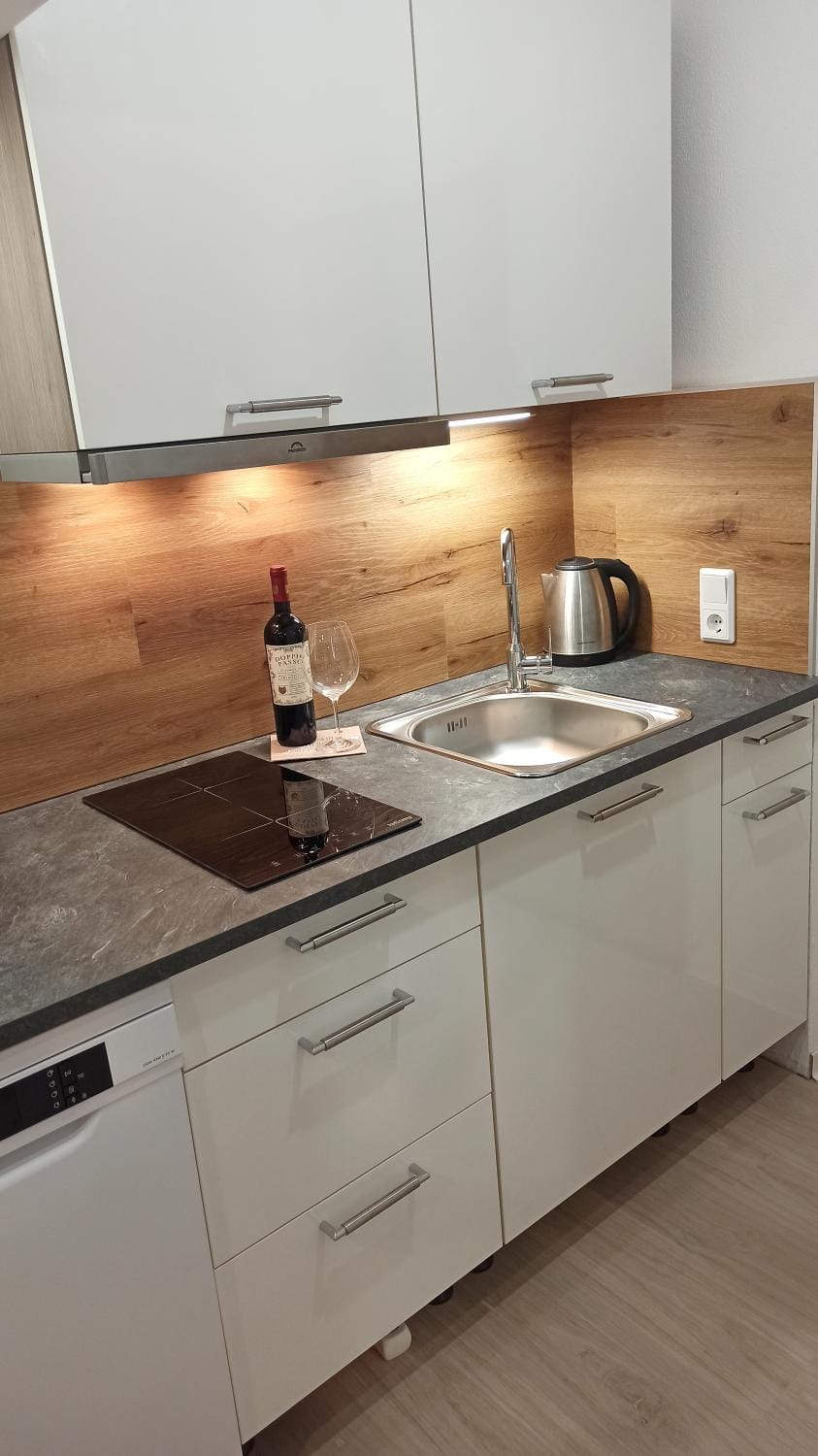 Kitchen or kitchenette, dishwasher, stove