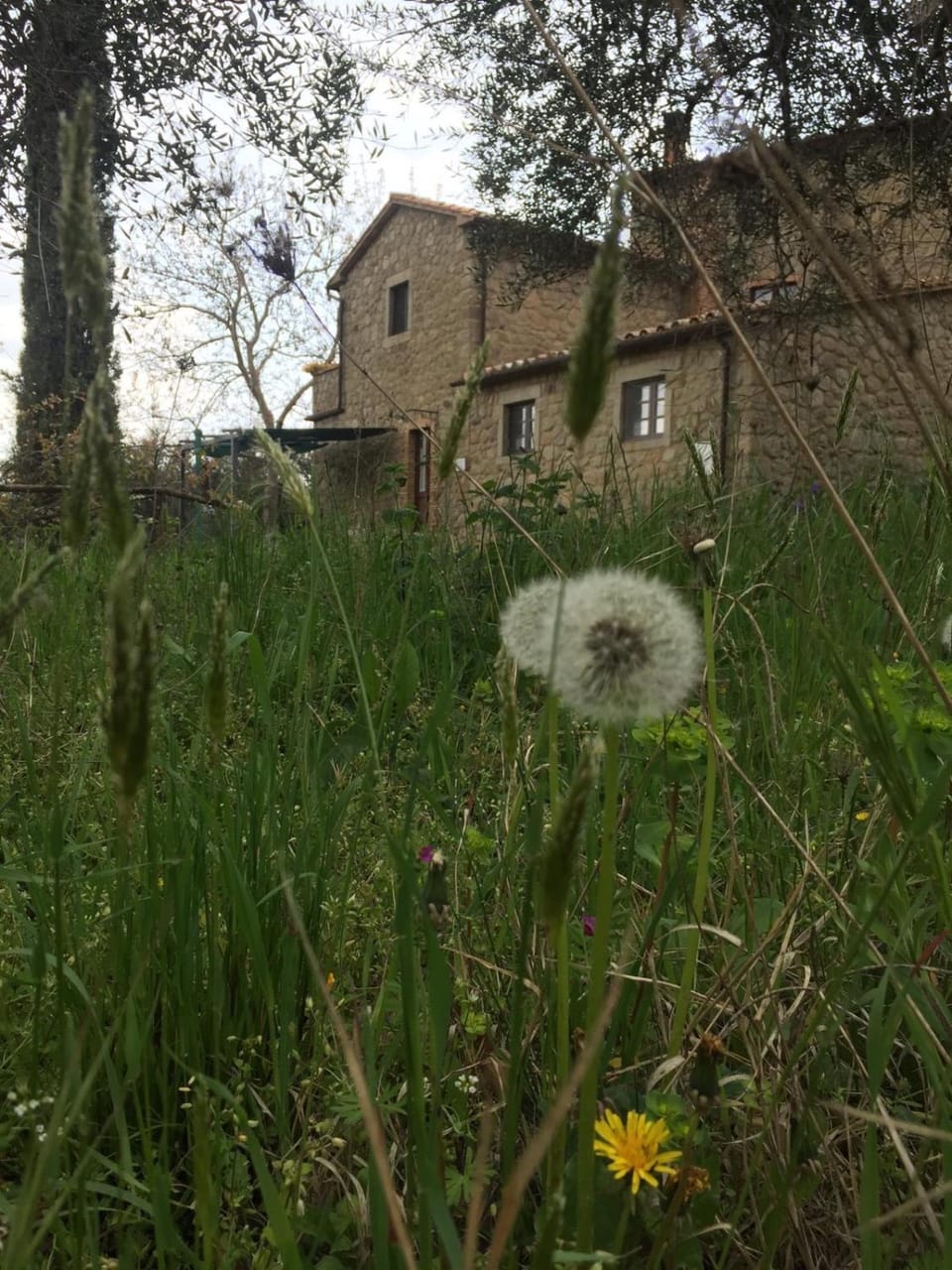 Property building, Garden