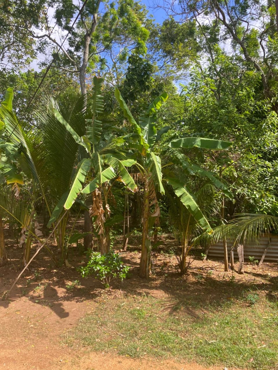 Sam's Inn Country House in Sri Lanka