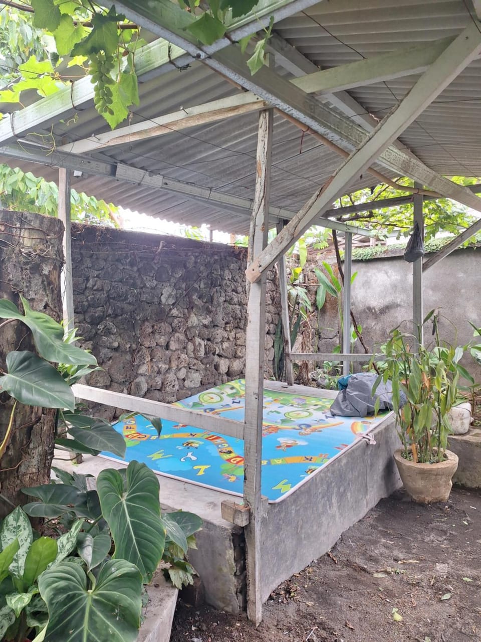 Day, Garden view