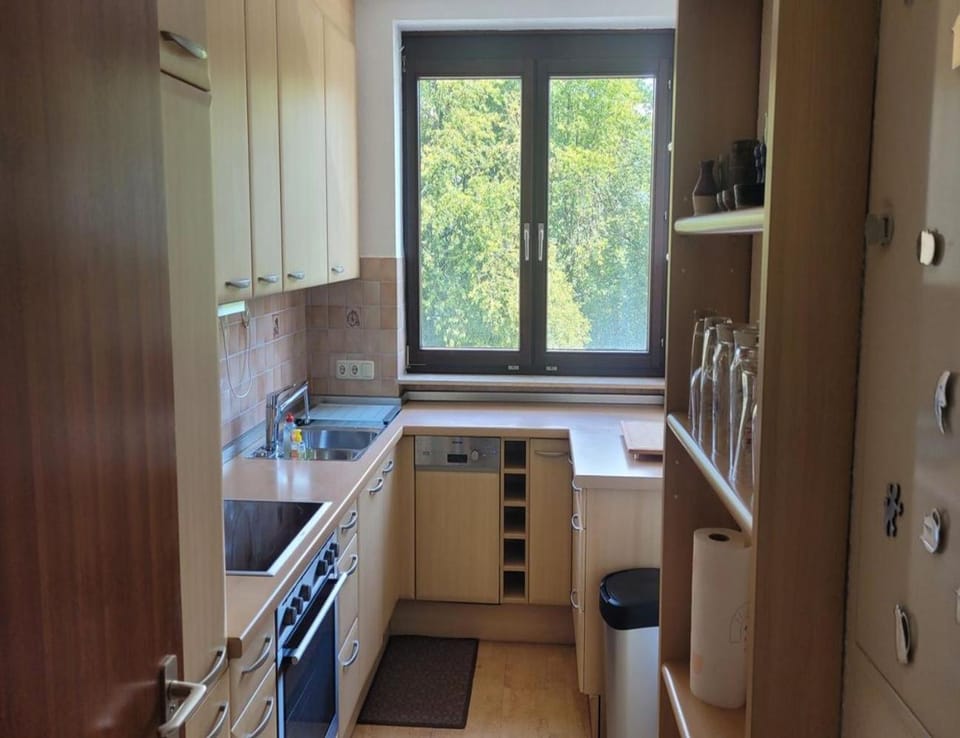 Kitchen or kitchenette, stove, kitchen