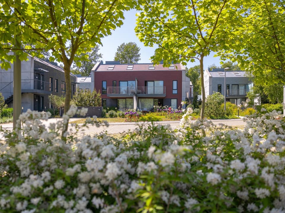 Property building, Natural landscape, Garden