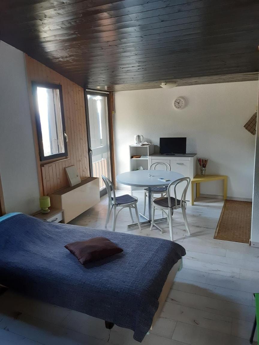 Nice attic studio Montana-Aminona 14 days minimum Apartment in Crans-Montana