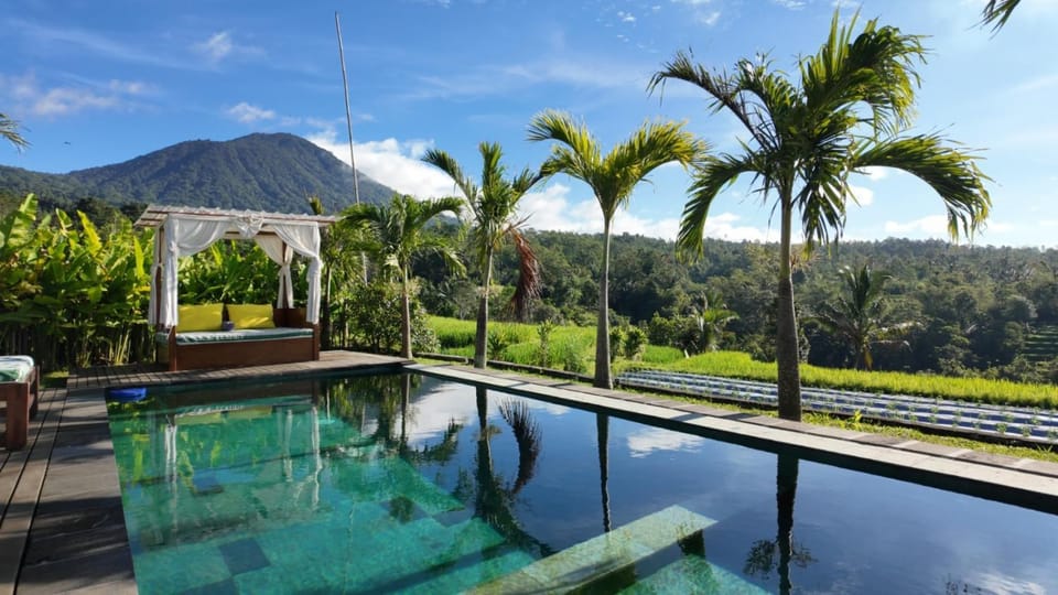 Spring, Day, Natural landscape, Garden, Garden view, Mountain view, Pool view, Swimming pool, sunbed