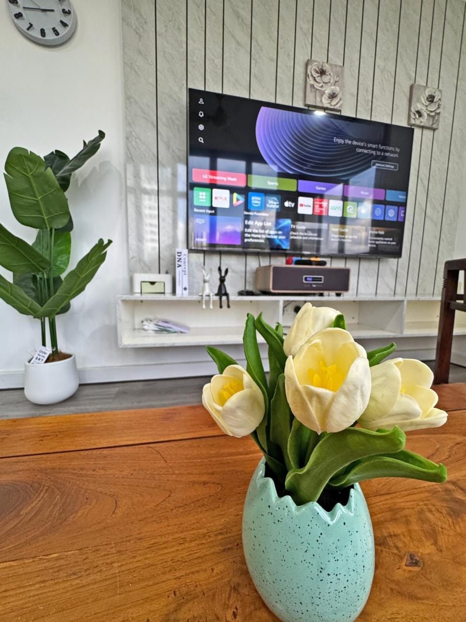 TV and multimedia