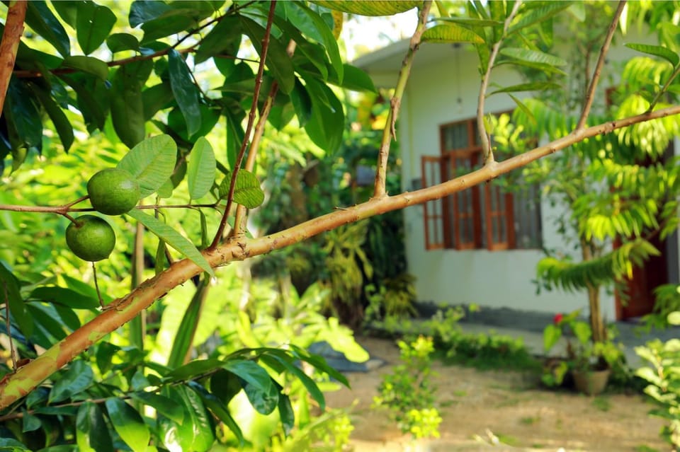 Property building, Spring, Day, Garden, Garden view