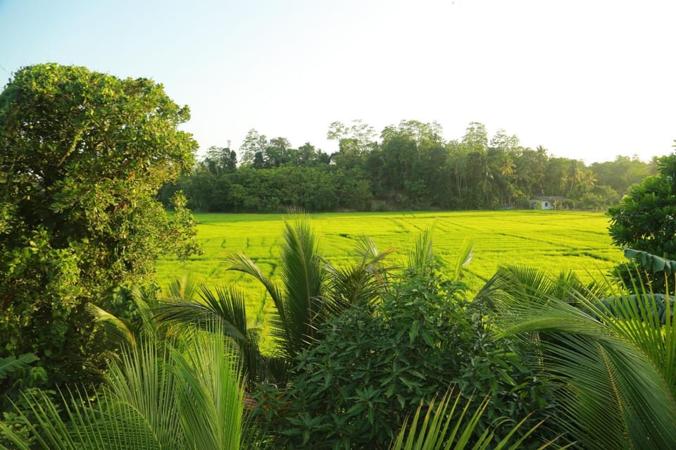 Spring, Day, Natural landscape, Garden, Garden view