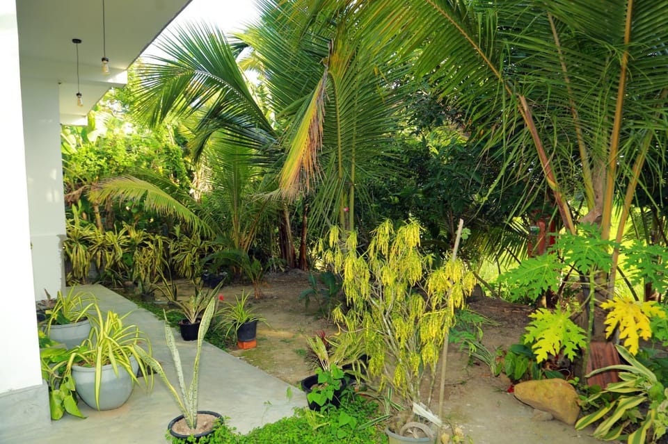 Spring, Day, Natural landscape, Garden, Garden view