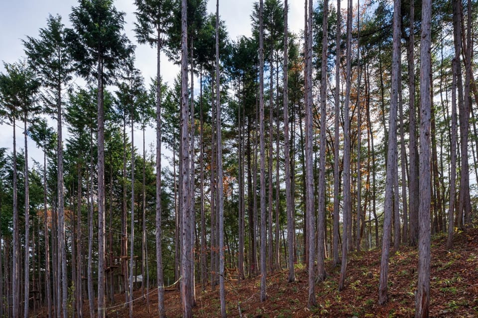 Natural landscape