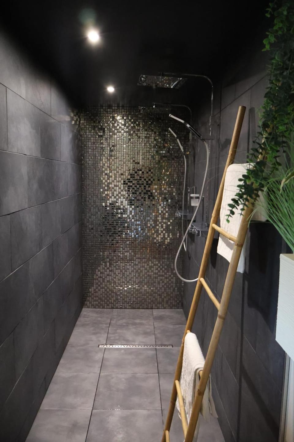 Shower, Spa and wellness centre/facilities