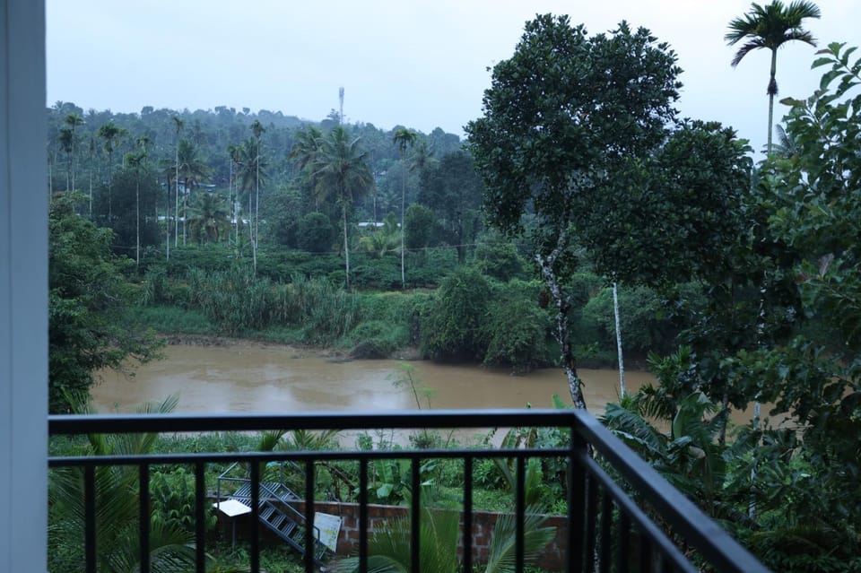 View (from property/room)
