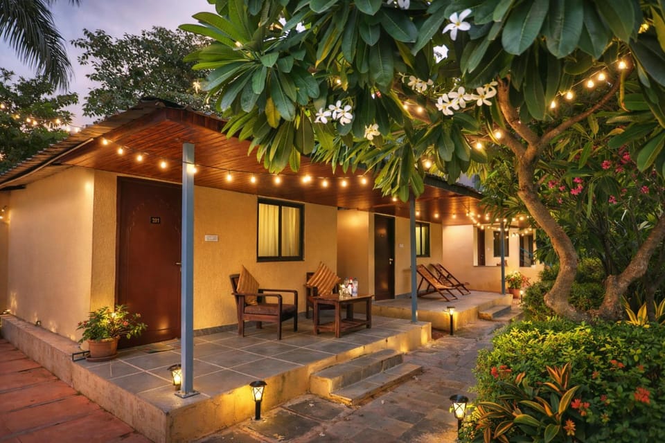 Patio, Patio