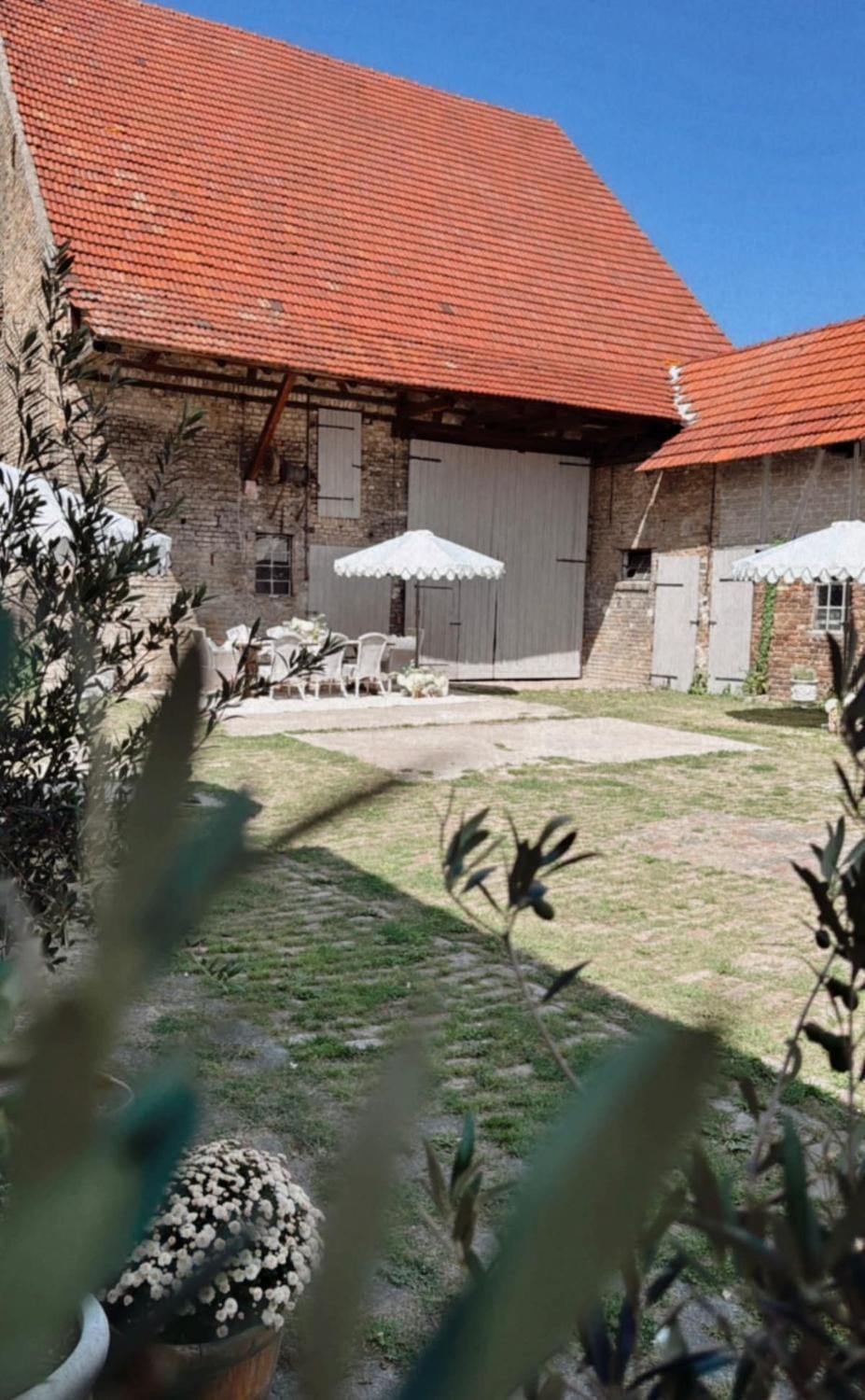 Patio, Day