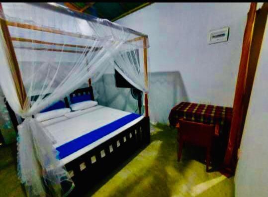 Coconut Cabana Tangalle Bed and Breakfast in Southern Province