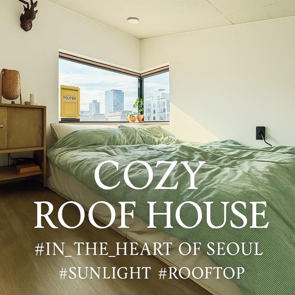 Rooftop House Seongsu Villa in Seoul