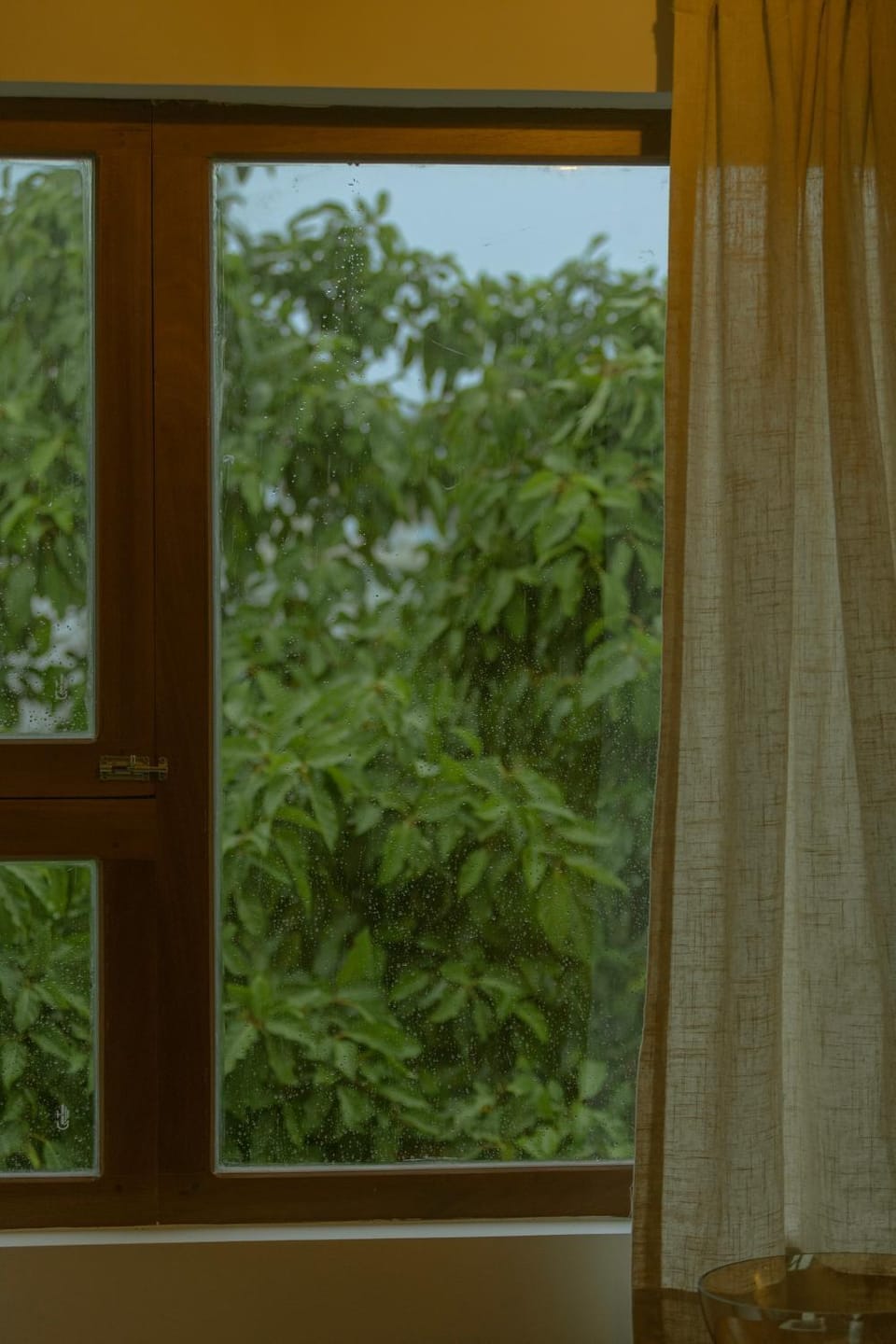 Day, Natural landscape, Garden view