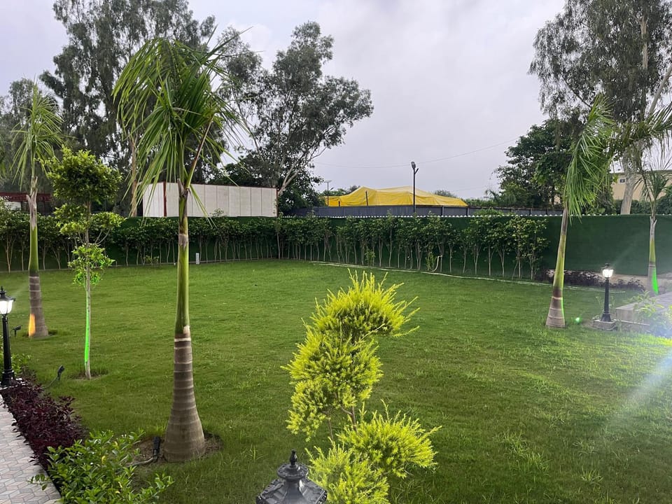 Garden