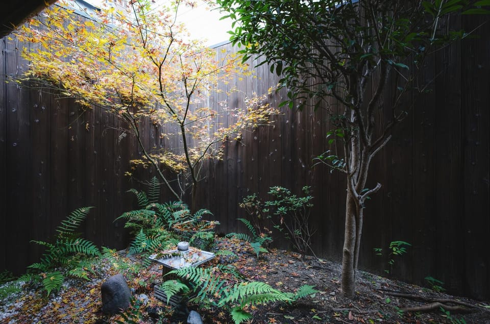 Day, Garden, Garden, Garden view