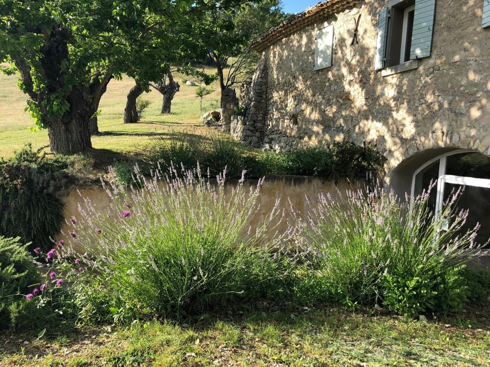 Patio, Garden, Garden view