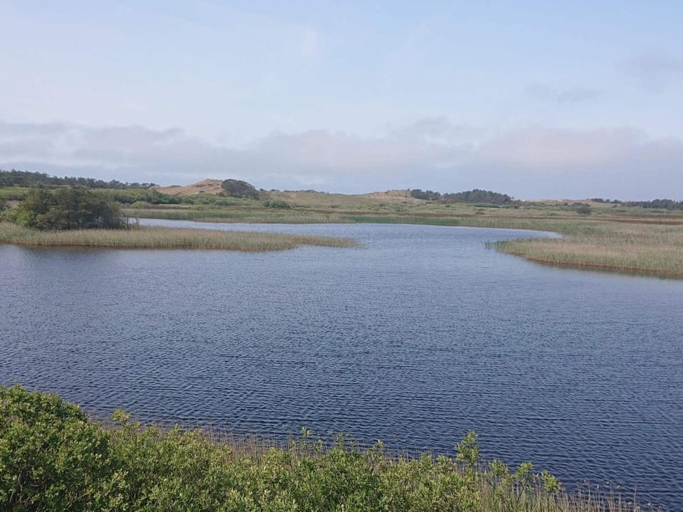 Lake view