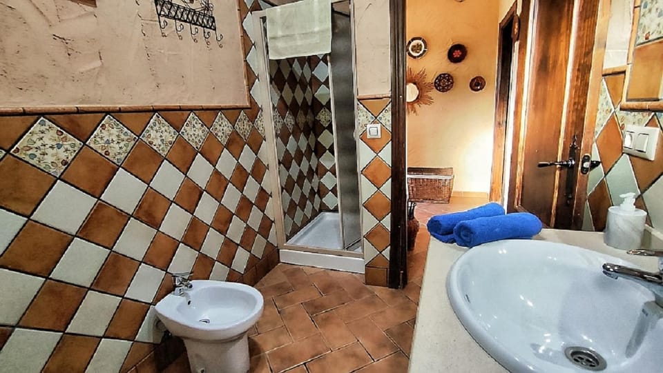 Shower, Bathroom, bidet, towels