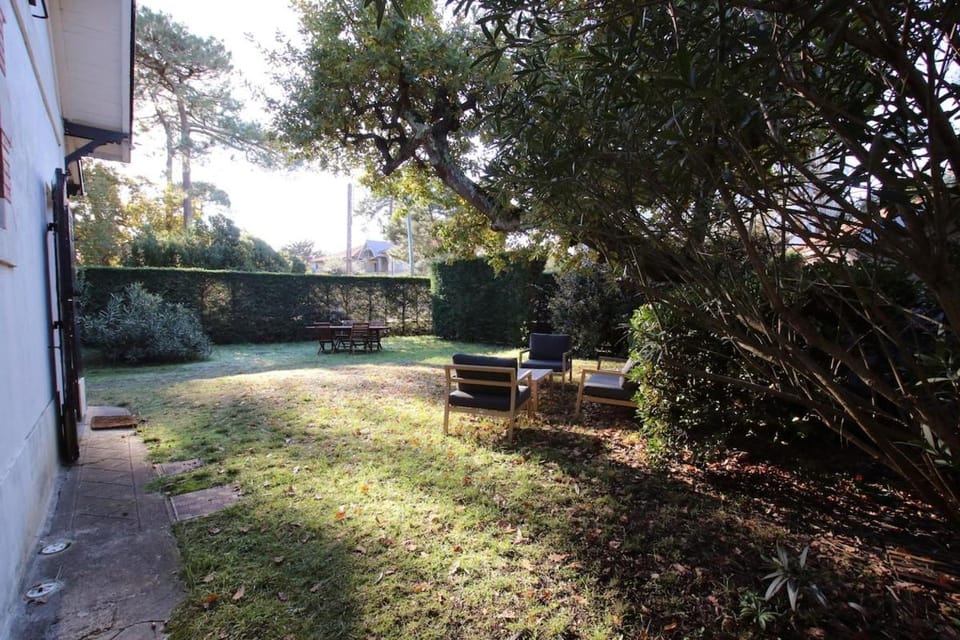 Day, Garden, Garden view