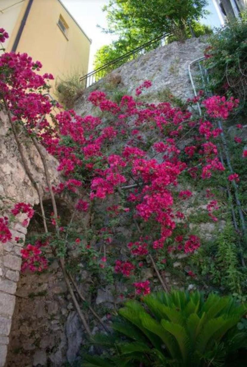 San Martino 100 Old Town Apartment - Itri House in Lazio