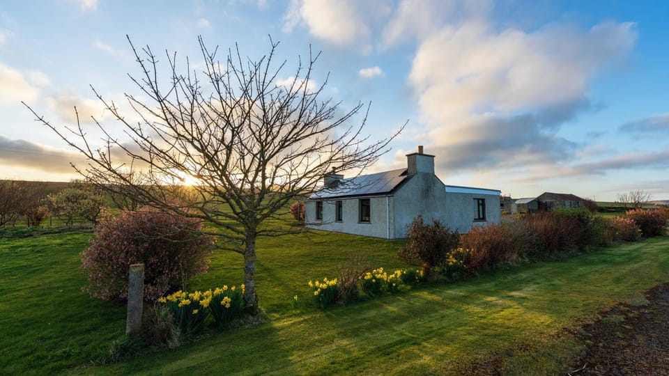 Property building, Garden, Garden view