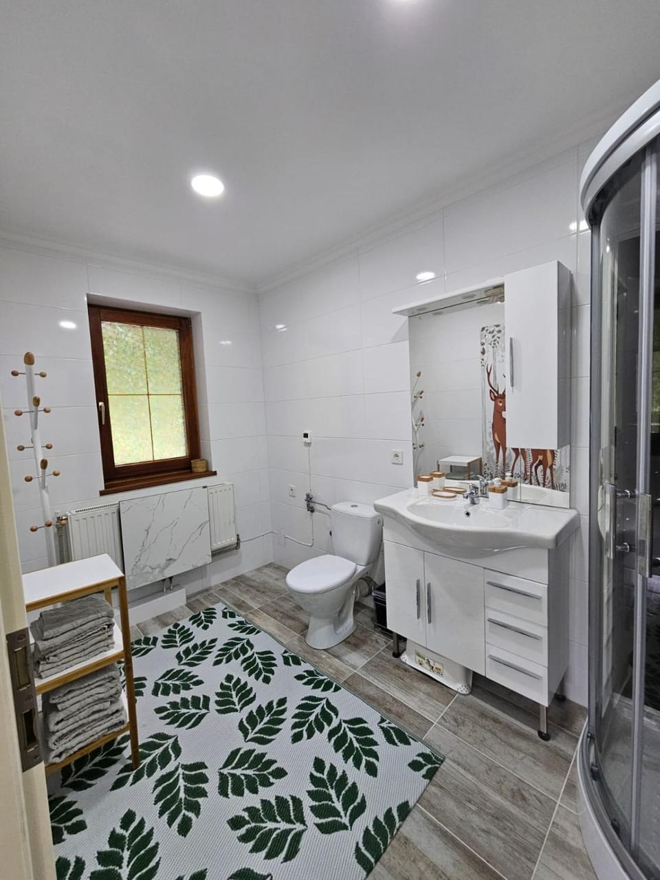 Toilet, towels