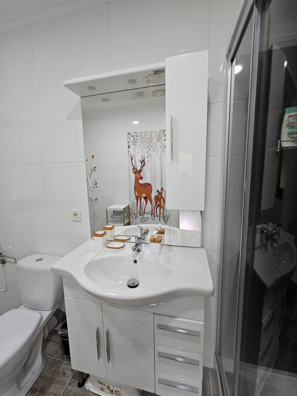 Shower, Toilet