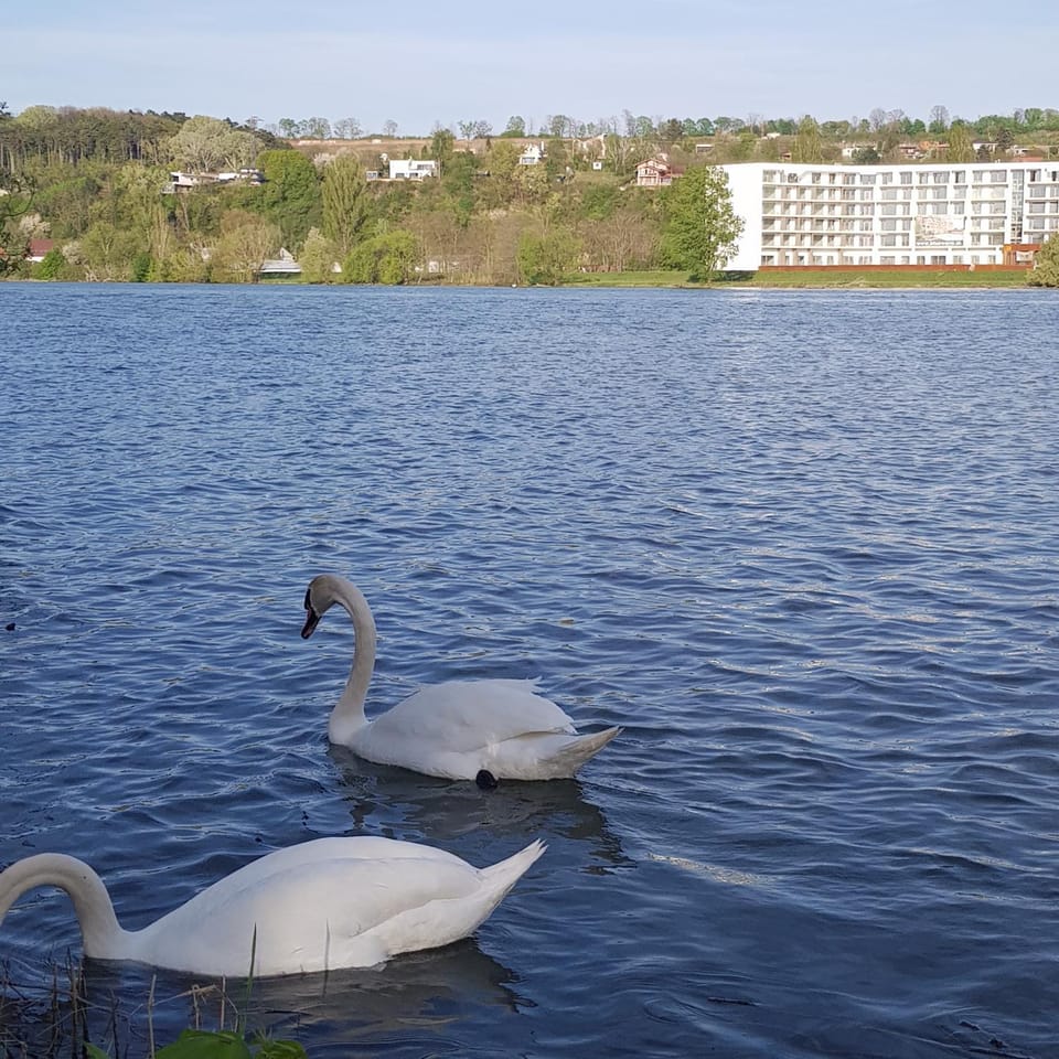Apartmany BlueWave Riverside Piešťany Apartment in Slovakia