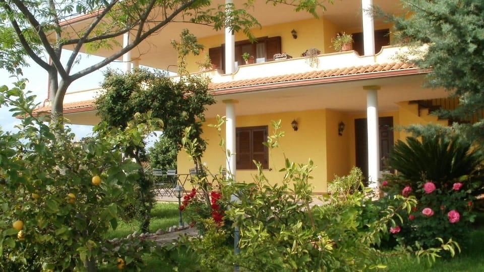 Garden view