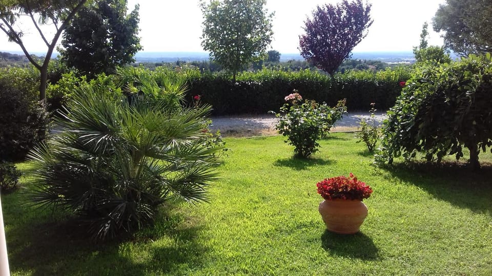 Garden view