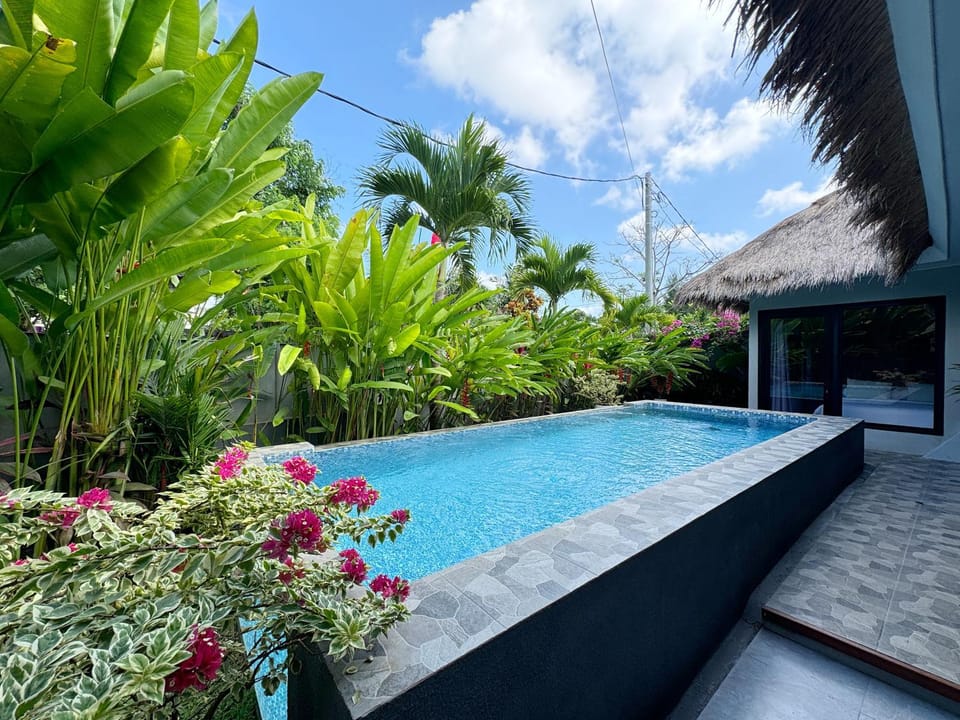 Garden, Swimming pool