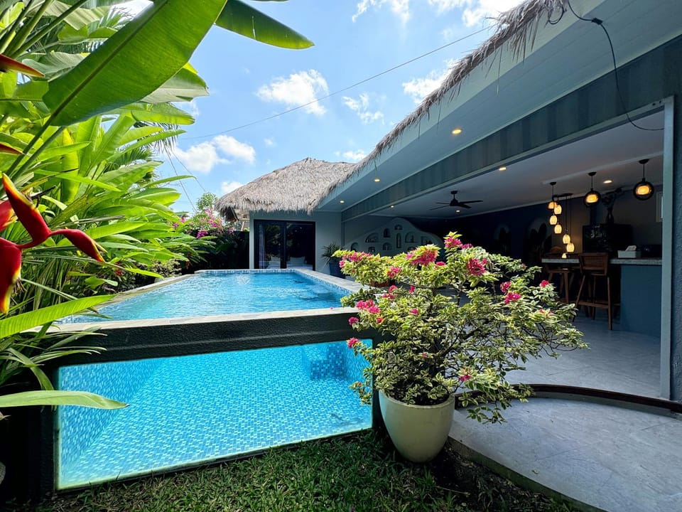 Garden, Swimming pool