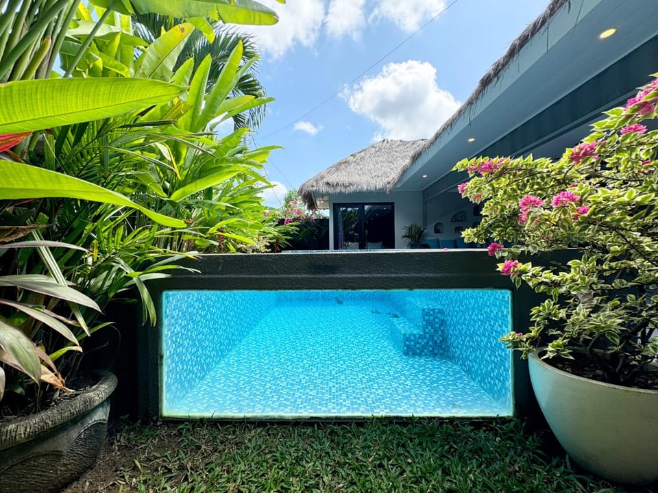 Garden, Swimming pool