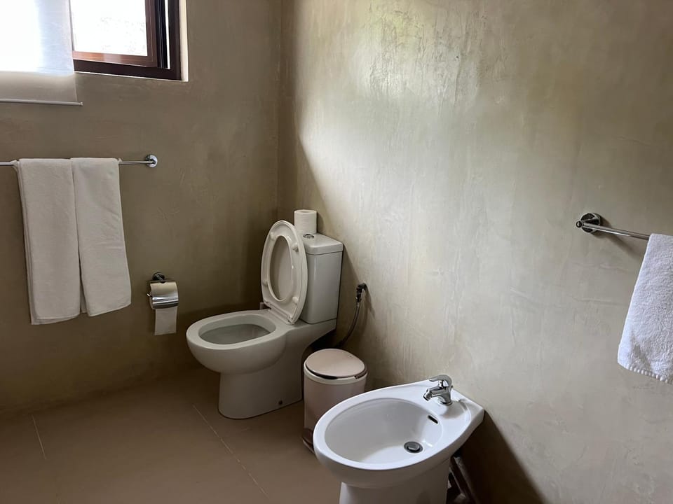 bidet, towels