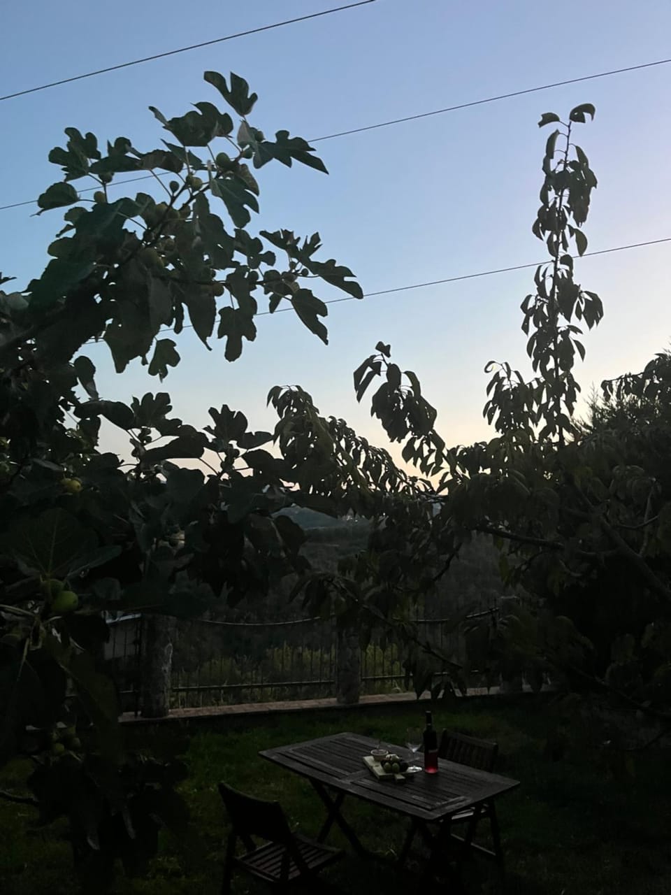 Day, Natural landscape, Garden, Dining area, Sunset