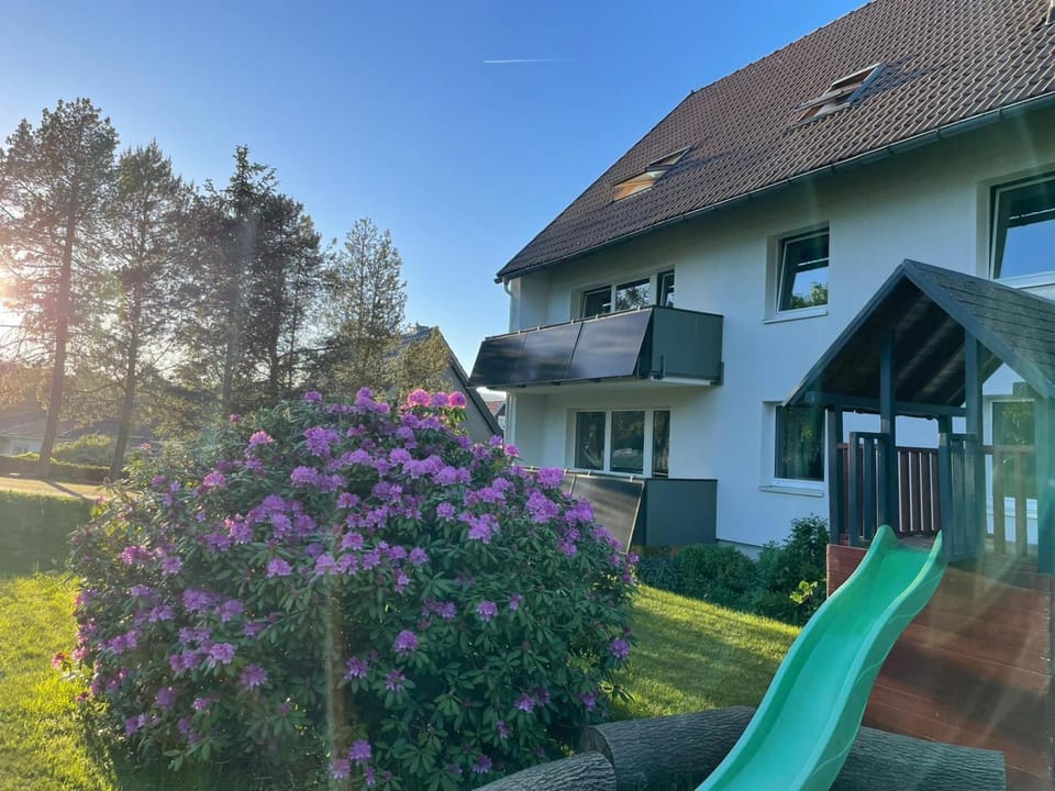 Property building, Garden
