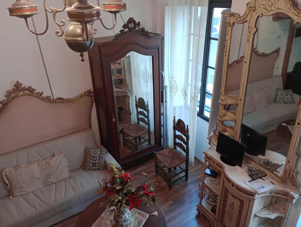 Piccola dimora storica Apartment in Florence