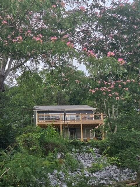 Property building, Natural landscape