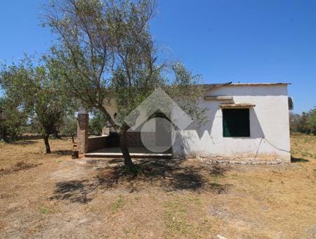 Villa ciro House in Province of Taranto