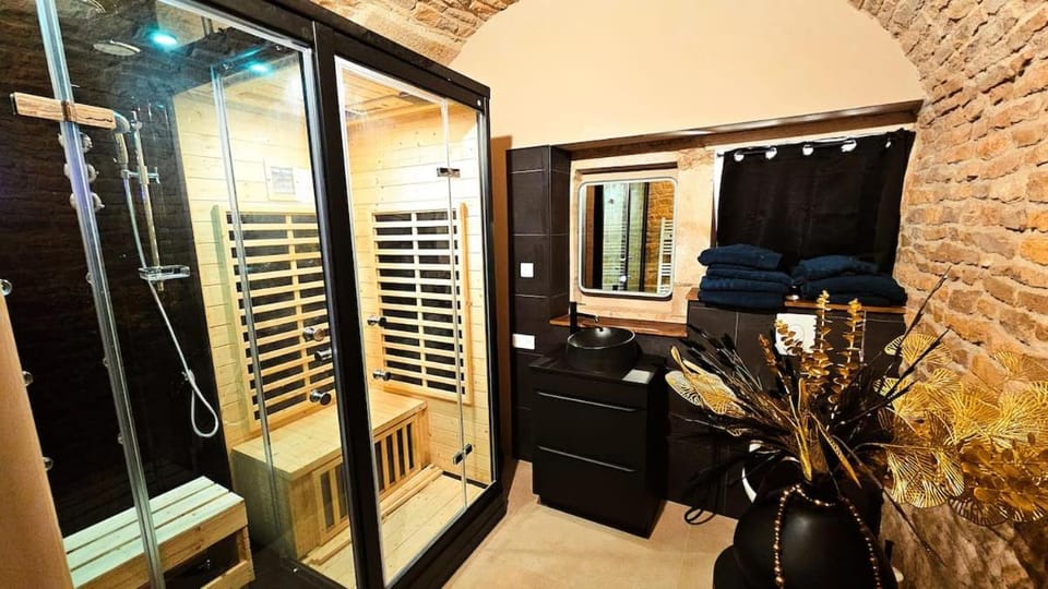 charme ancien et évasion bien-etre avec sauna hammam Apartment in Dijon