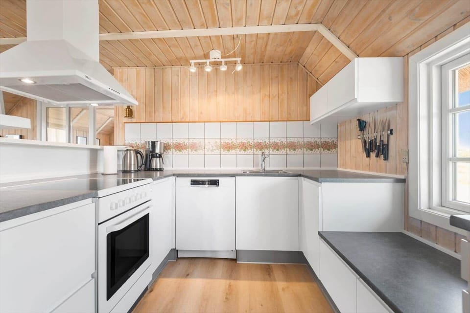 BV254-Blavand-Horns-Rev-65 House in Blåvand