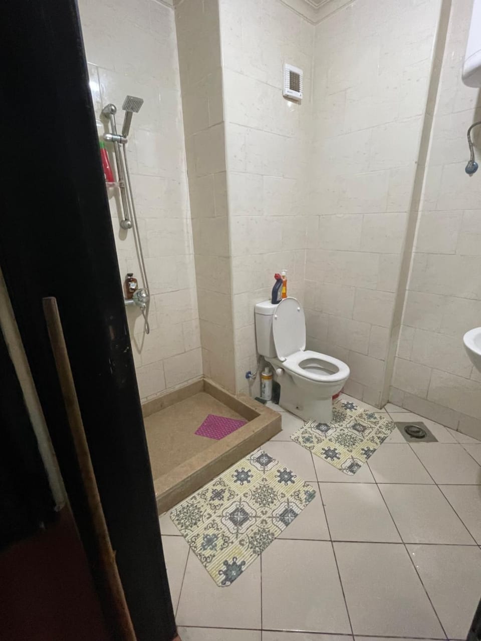 Shower, bidet