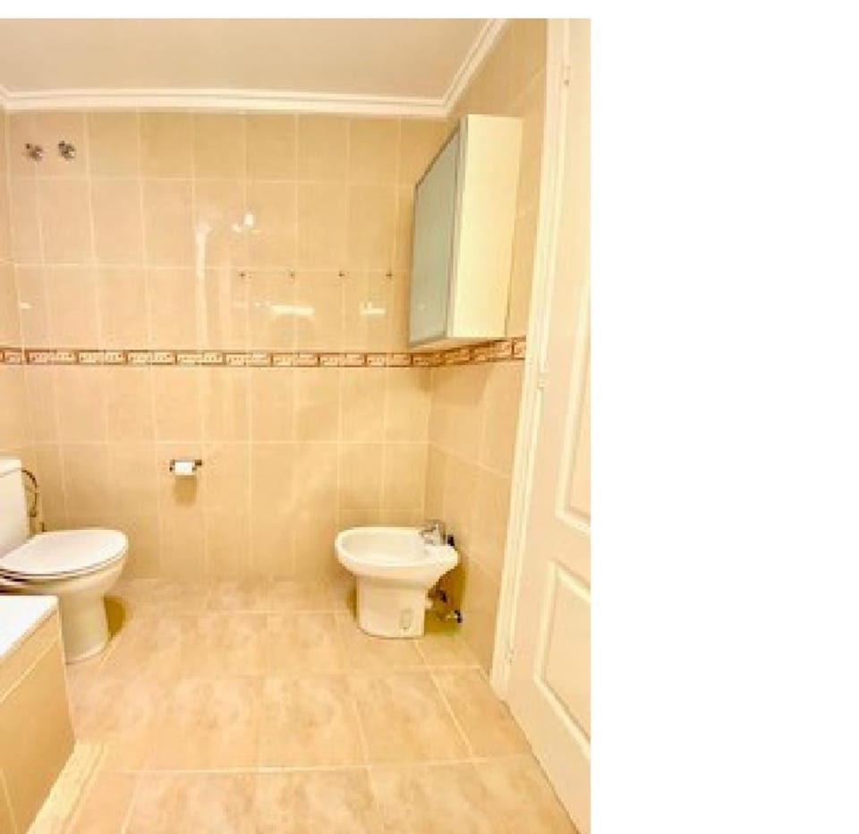 Shower, Toilet, Bathroom, bidet