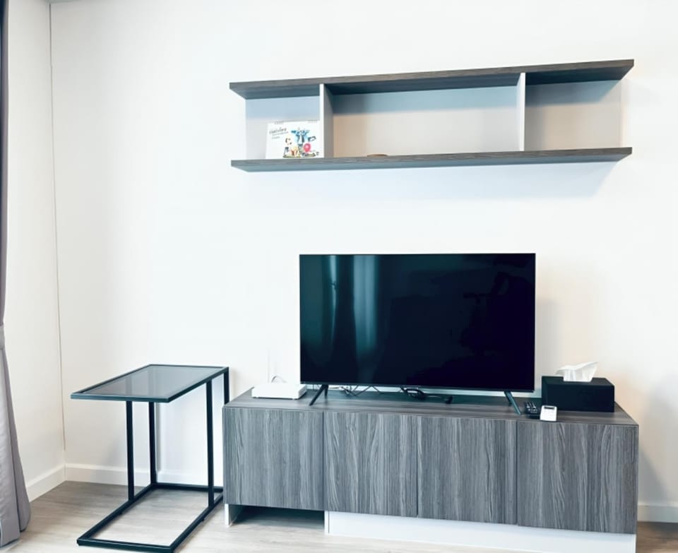 TV and multimedia